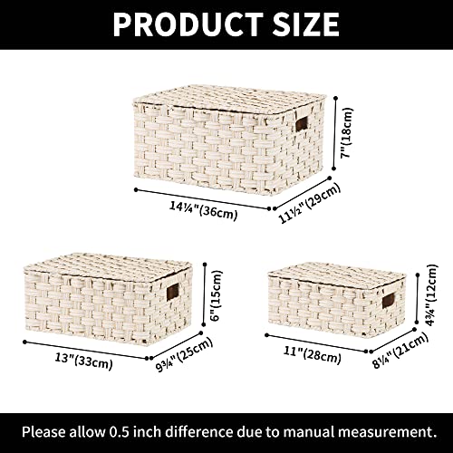 GRANNY SAYS Wicker Baskets with Lids, Woven Storage Basket with Lid - color: Butter Milk, size: 3 Pack