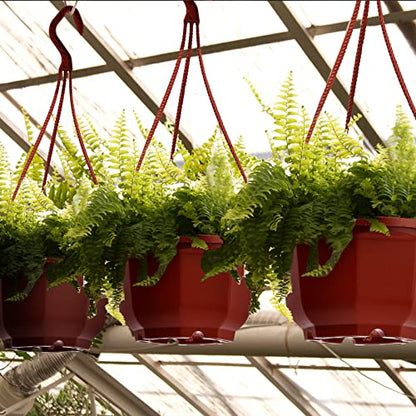 Roshtia 24 Pcs Hanging Planter Pot with Hook, Brown, 6.7 Inch - color: Brown, size: 6.7 Inch