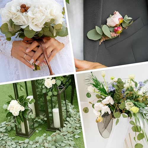 500+ Pcs Dried Silver Dollar Eucalyptus Leaves for Wedding Decor