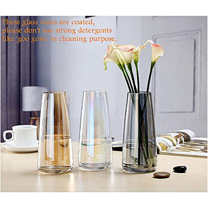FANTESTICRYAN Modern Glass Vase, 8.7''H Decor Flower Vases Iridescent Clear - color: Neon Clear