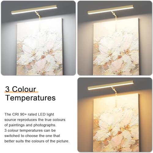 16" LED Picture Light Plug in, 5W Gold Art Light - color: Gold, size: 16 inch
