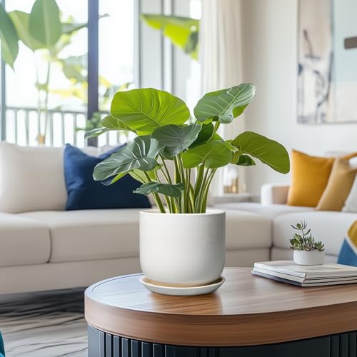 Ceramic Pot for Plants 7 Inch - Modern Round Indoor Outdoor Planter with Drainage Hole and Saucer, Home House Office Room Decor, White - color: Gloss White, size: 7 Inch