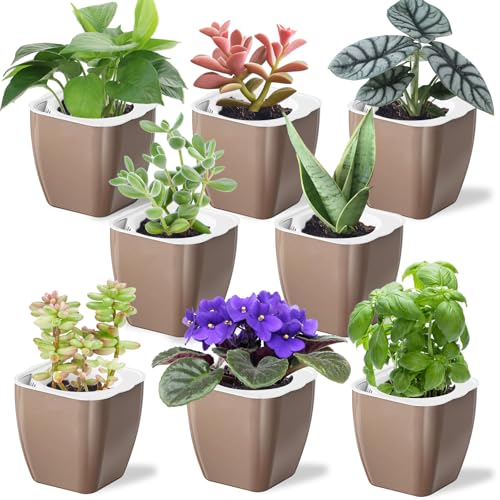 Oliz 8 Pack Self Watering Pots 4-inch Decorative Flower Planters for Indoor Plants Modern Square planters for Small Plants Window Sill Planters for Succulents, African Violets, Herbs(Sliver Gold) - color: Sliver Gold-8 Pack