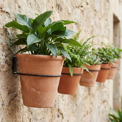 12 Pack 6 Inch Wall Plant Holder, Indoor Metal Plant Hanger Wall Mount Plant Holder Flower Pot Holder Ring, Black