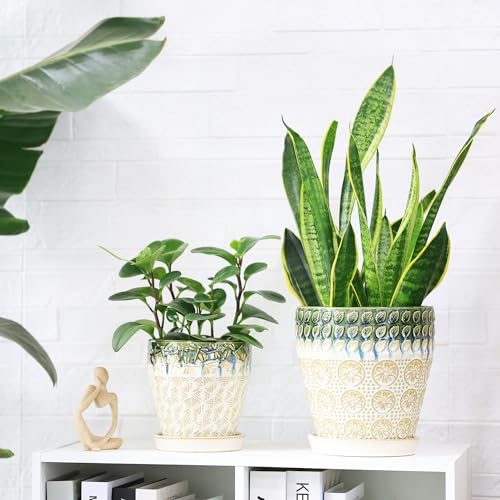 Ceramic Planter Pots for Indoor Plants, 8Inch + 6 Inch Plant Pot with Drainage Holes, Saucers and Mesh Pads, Succulent Orchid Flower Pot -Set of 2 - size: set of 2-8inch+6inch