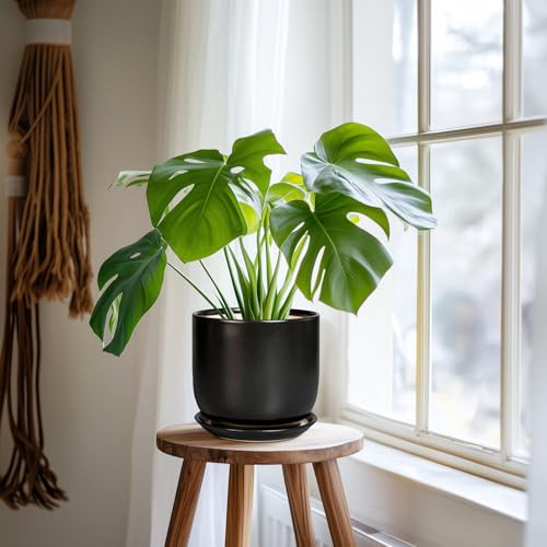 Ceramic Planter 7 Inch Plant Pot with Drainage, Black - color: Matte Black, size: 7 Inch