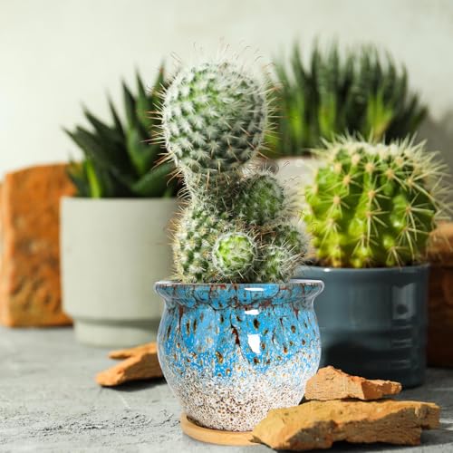 ARTKETTY Succulent Pots - 4 Pack Small Plant Pots with Drainage Tray - color: 4.5'' Colorful 1