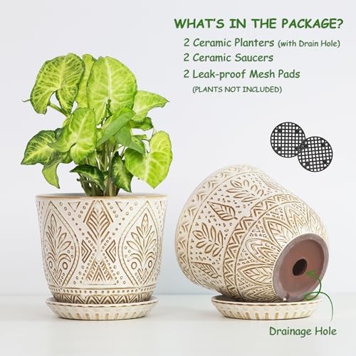 Gepege Ceramic Plant Pots, 6 Inch Indoor Planters with Drainage & Saucers - color: White-b, size: 6 Inch - Set of 2