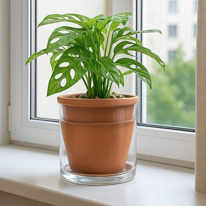 D'vine Dev Self Watering Terracotta Planter Pot, 6 in, 37-X-B-1 - color: Terracotta, size: 6 Inch