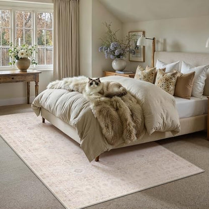 6x9 Apricot Area Rug Neutral Distressed Carpet - color: Accent | Beige Multi, size: 6' x 9' (Rectangular)