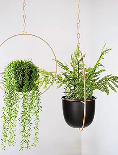 2 Pack Hanging Planter with 5.5" Pot, Metal Hanging Plant Holder - color: Black & Gold