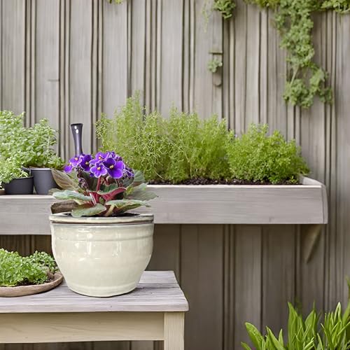 African Violet Pots Self Watering White 6 inch - color: White