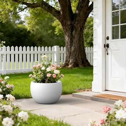 Kante Large Round Bowl White Concrete Planter 20" Dia, Outdoor - color: Pure White, size: 19.9" d