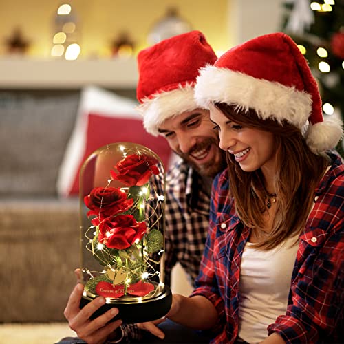Beauty and The Beast Rose for Mom, Birthday Gifts for Women, Light Up Roses, Glass Dome Rose with LED Lights, Red Roses, Women's Gift for Mom Wife Grandmother - color: Red