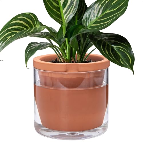 D'vine Dev Self Watering Terracotta Planter Pot, 8 in, 37-X-C-1 - color: Terracotta, size: 8 Inch