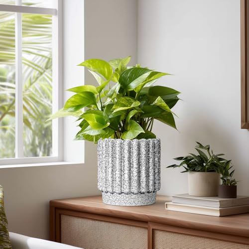 Ceramicfor Ceramic Planter, 7.6 Inch, Black and White - color: Black and White, size: 7.6 Inch