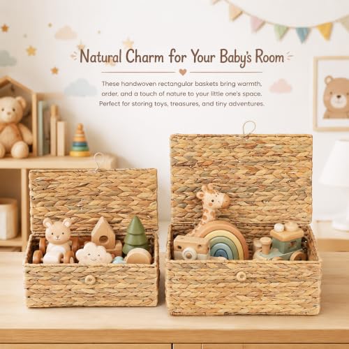 LUSYDECO Set of 2 Rectangular Wicker Storage Basket with Lid