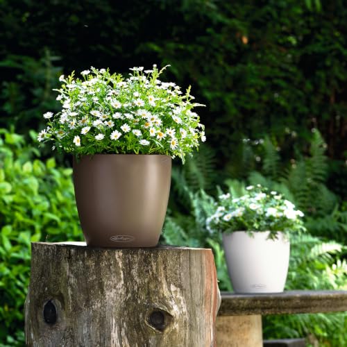 Lechuza Classico Color 21 Nutmeg, Self-Watering Small Round Planter, D8.3 H7.9 in - color: Nutmeg Matte, style: 21