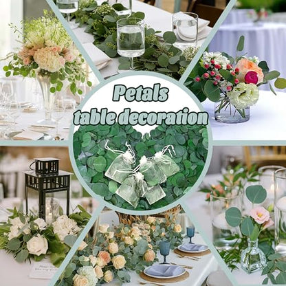 500+ Pcs Dried Silver Dollar Eucalyptus Leaves for Wedding Decor