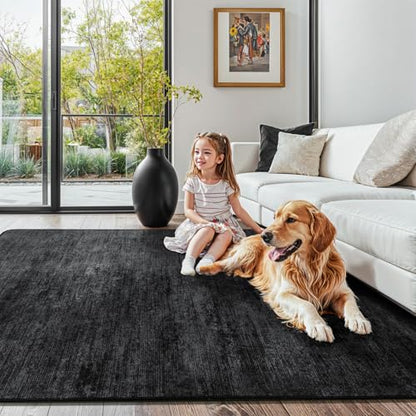 4x6 Washable Area Rug, Black Solid Area Rugs for Living Room & Bedroom - color: Black, size: 4' x 6' (Rectangular)