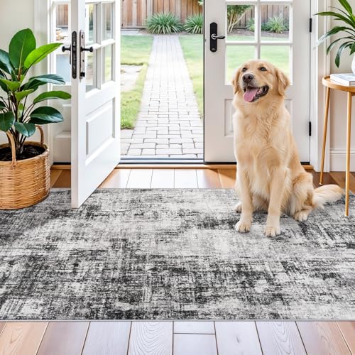 3x5 Rug Washable Runner for Entryway: Abstract Neutral Soft Area Rug Black - color: Black, size: 3' x 5' (Rectangular)