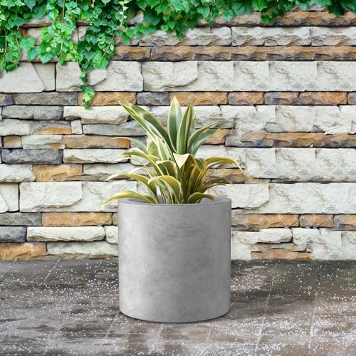 Kante Small Round Cylinder Pale Gray Concrete Planter 9.8" Tall, Outdoor - color: Natural Concrete, size: 9.8" Dia