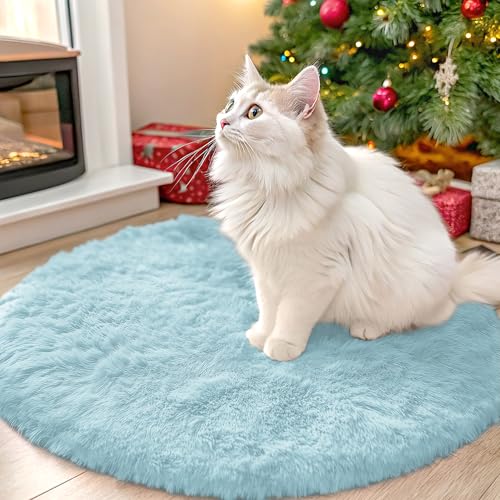 OLANLY Light Blue Round Rugs for Bedroom - Machine Washable, 2 ft Circle Area Rugs for Living Room, Soft and Fluffy Shaggy Carpet for Teen Girl and Boys, Nursery Rooms, Dorms, Home Decor Aesthetic - color: Light Blue, size: 2 Ft Round