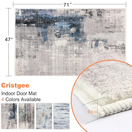 CRISTGEE Door Mat, Front Indoor Door Mat Faux Wool Non-Slip Entryway Rug Absorbent Abstract Throw Rug for Indoor Entrance Hallway Laundry Room, High Traffic Areas, 47X71 Inches, Sky Blue/Gray - color: Sky Blue/Gray, size: 3'11" x 5'11" (Rectangular)