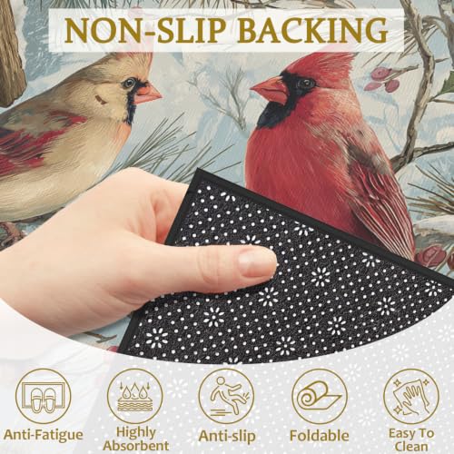 Red Cardinal Bird Bath Mat Rug, Door Mat Doormat Entrance Non-Slip Bathroom Rugs for Entryway Bathroom Kitchen 17 x 30 Inch - color: Red Cardinal Bird