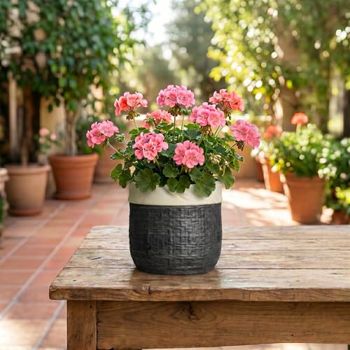 Ceramic Flower Pots, 6 Inch Pots for Plants, Round Planter, Black - color: Black, size: 6 Inch