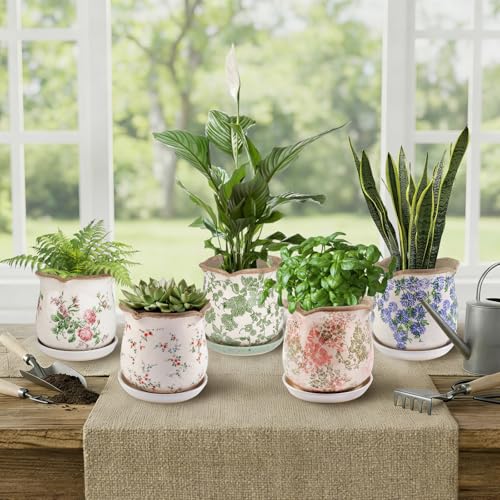 Ceramic-Planters-for-Indoor-Plants with Saucer, 6 inch Vintage Ice Crackle Glaze Plant Pots with Drainage Holes, Decorative Flower Pots for Outdoor Garden Home Decor, Tuscan Pot for Plant - color: Pastel Meadow