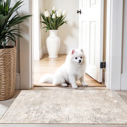 2x4 Washable Non-Slip Runner Rug – Small Throw Rug for Kitchen Floor, Bedroom, Entryway, Bathroom, Bedside – Modern Abstract Neutral Low-Pile Thin Indoor Door Mat (Beige Grey,2x4) - color: Beige Grey, size: 2' x 4' (Rectangular)