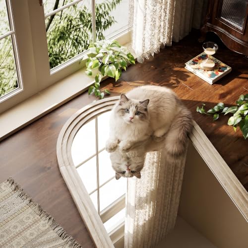 71"x30" Arched Full Length Mirror with White Solid Wood Frame - color: White, size: 71"L x 30"W