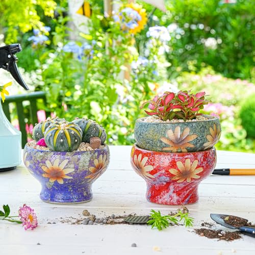 Sungmor Small Succulent Planters Set of 3, Beautiful Hand Crafted Ceramic Plant Pots Cute Cactus Pot, 4.9 Inch Flower Pots for Indoor Plants with Drainage, Desktop Windowsill Home Office Decor Pots - color: Style-f (Dia.: 4.9inch & H: 3.5inch)