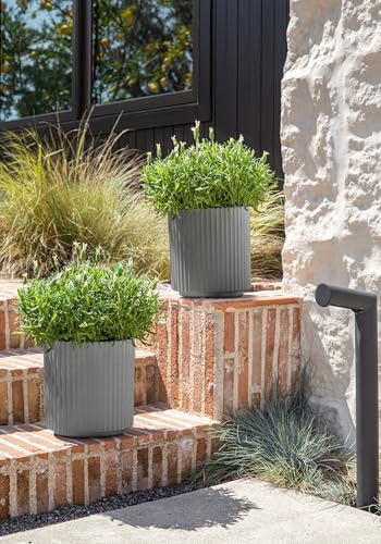 Veradek Demi Series Planter - Large Round Outdoor Planter - color: Gray, size: 12 inch - 2 Pack