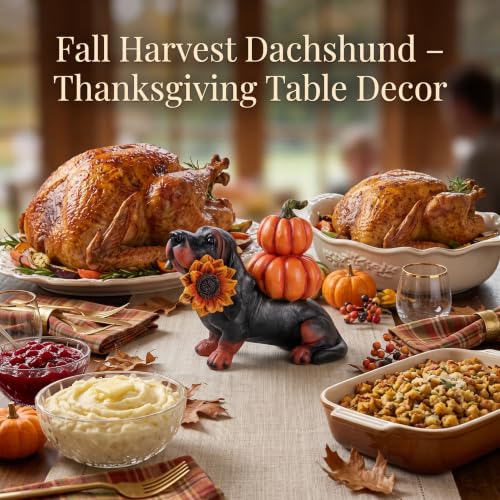 Fall Dachshund Pumpkin Dog Figurine Decor, Thanksgiving Dog Statue - color: Dachshund
