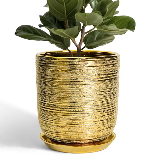 Ceramic Flower Pot for Indoor Plants - 10 Inch Plant Pot with Drainage Hole and Saucer, Decorative Round Outdoor Indoor Planter, Housewarming Gifts, Home Garden Decor, Gold - color: Golden, size: 10 Inch