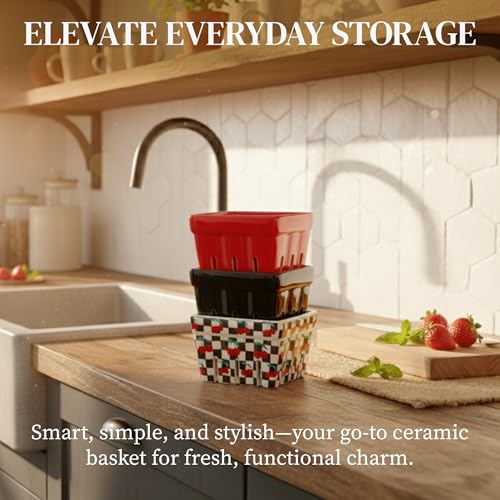 BIEN BEAU Ceramic Berry Baskets Set of 4, Checkered Berry Colander - color: Black