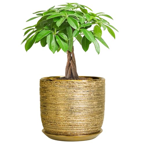 Ceramic Plant Pot 7 Inch, Ceramic Planter for Indoor Plants, Gold - color: Gold, size: 7 Inch