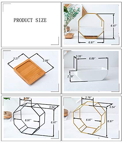 VanEnjoy 7" White Ceramic Wall Planters Vase and Copper,Drainage Hole with Bamboo Tray - Succulent Pot Air Plants Mini Cactus Artificial Flowers Hanging Geometric Hexagon Wall Decor (Black Metal)