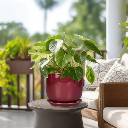 Ceramic Flower Pot for Plants, 8 Inch Plant Pot, Red - color: Red, size: 8 Inch