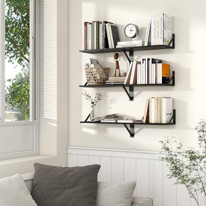 Axeman Floating Shelves for Wall, 16'' x 8'' Black Wall Shelves Set of 2 - color: Black, size: 16 Inch
