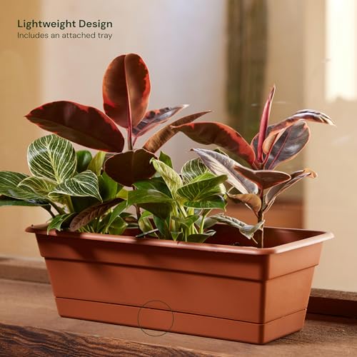 Bloem Dura Cotta 18" Plastic Window Box Planter, Terra Cotta, 3-Pack - color: Terra Cotta, size: 18" (Pack of 3)