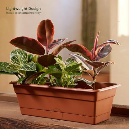 Bloem Dura Cotta 18" Plastic Window Box Planter, Terra Cotta, 3-Pack - color: Terra Cotta, size: 18" (Pack of 3)