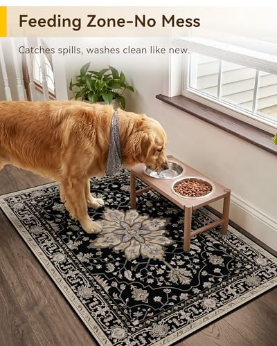 RELEANY Washable Area Rug, Small 2'x3', Black/Neutral - color: Black/Neutral, size: 2' x 3' (Rectangular)