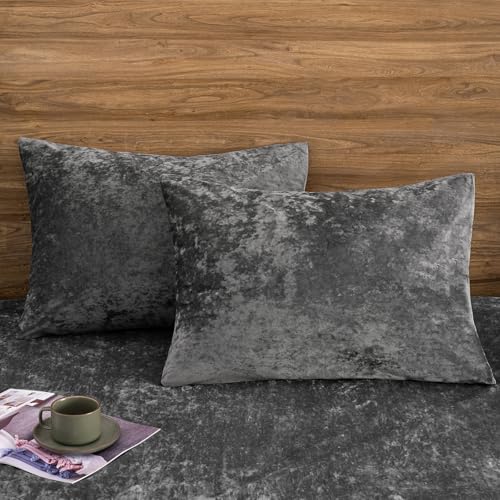 PHF Truly Velvet Pillowcases Standard Size 20" x 26", Dark Grey, No Insert - color: Dark Grey, size: 26" x 20" (Pack of 2)