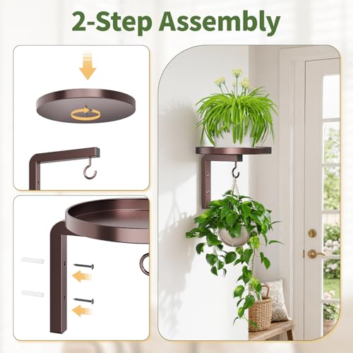 LASZOLA Plant Hanger Holder Window Shelf Wall Mounted Indoor, 2 Pcs Brown - color: Bronze, size: 2