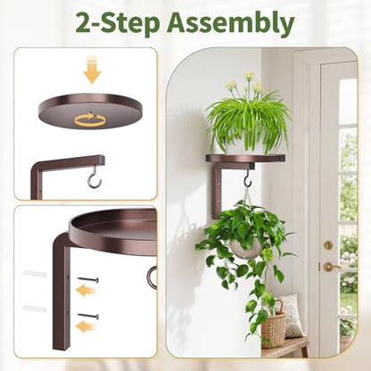 LASZOLA Plant Hanger Holder Window Shelf Wall Mounted Indoor, 2 Pcs Brown - color: Bronze, size: 2