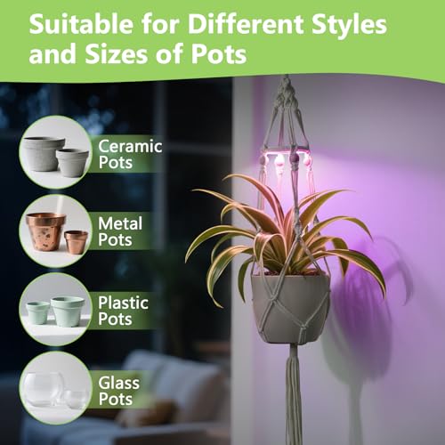 Macrame Plant Hangers - Beautiful Plants in Low Light - color: Plant Hanger Ivory(growpro)