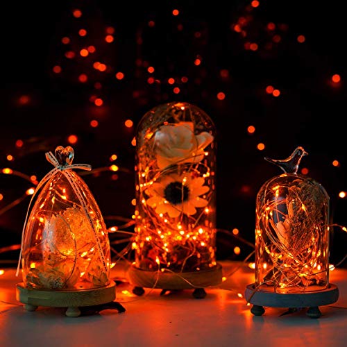 ANJAYLIA Orange Halloween Fairy String Lights Battery Operated, 10Ft 30 LED - color: Orange 1 Pack 30 LED